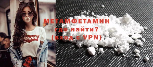 шишки Надым