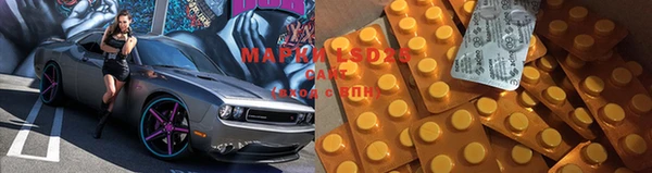 шишки Надым