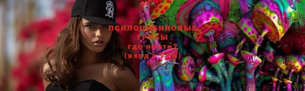шишки Надым