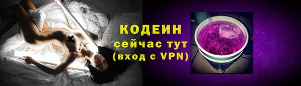 шишки Надым