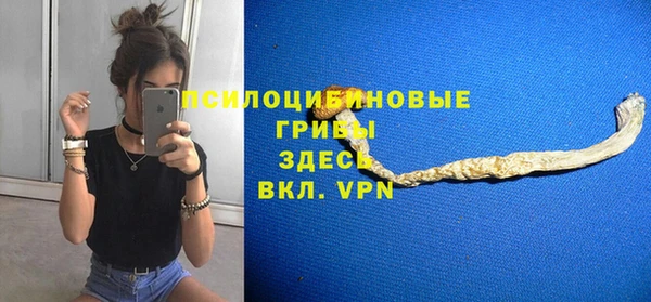 шишки Надым