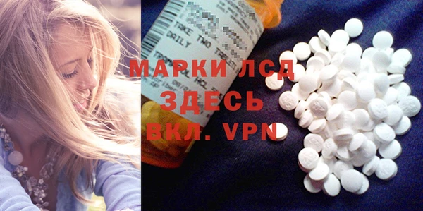 ГАЛЛЮЦИНОГЕННЫЕ ГРИБЫ Михайловка
