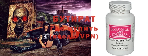 шишки Надым
