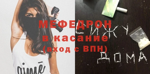 шишки Надым