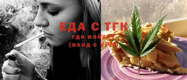 шишки Надым