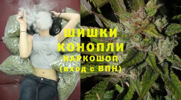 шишки Надым
