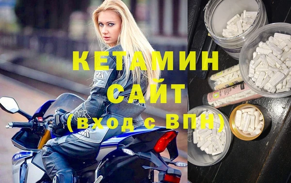 шишки Надым