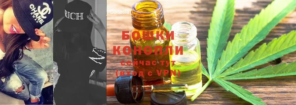 шишки Надым