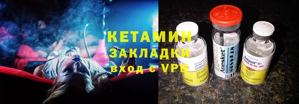 шишки Надым